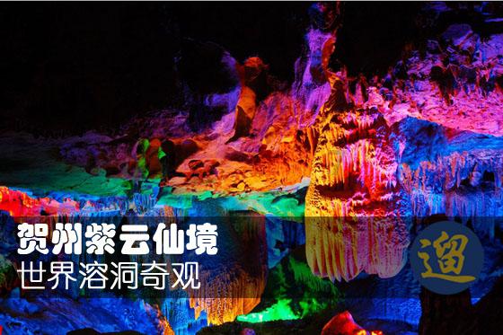综艺节目中哪些明星的“出糗”瞬间，看完让人哭笑不得呢？