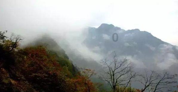创作猫