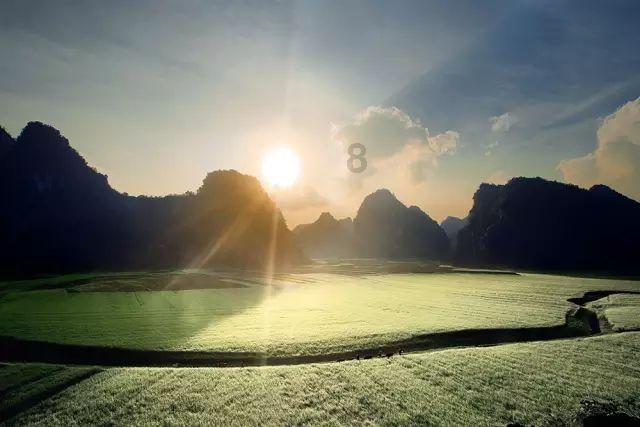 88影视